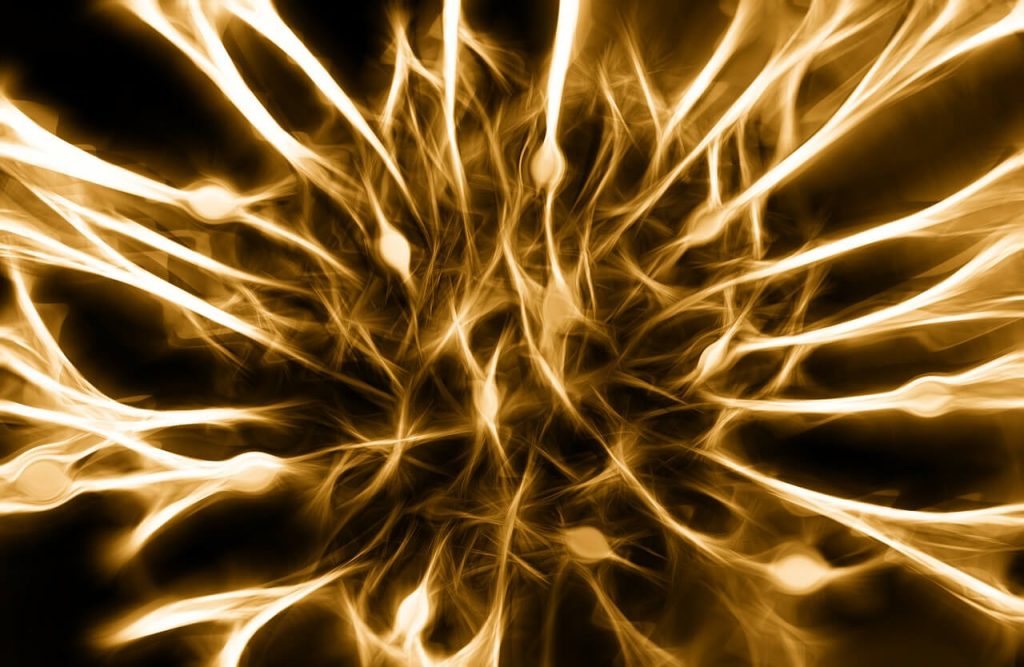비타민D 부작용 세포 형상화한 황금빛 이미지