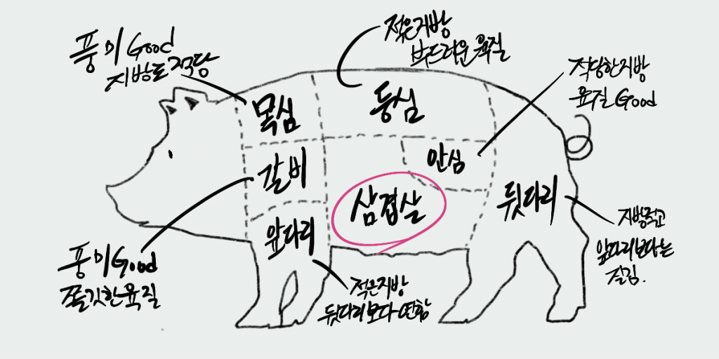 돼지 한마리 그림 위에 삼겹살 칼로리 표시한 그림