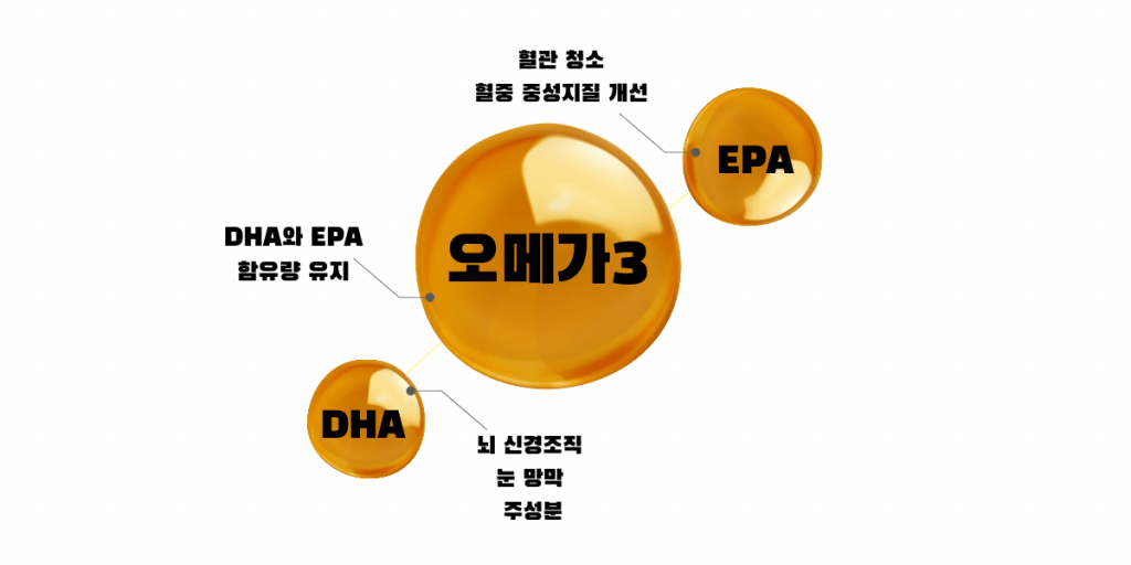 오메가 3 효능 EPA와 DHA 역할을 분자구조 이미지와 함께 설명