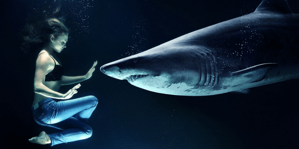 당뇨에 나쁜 음식 표현한 여성과 상어가 마주하고 있는 사진